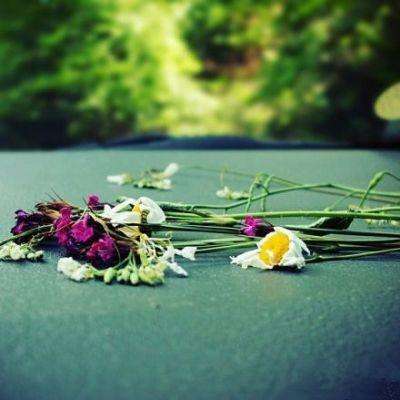 免费的行情网站app