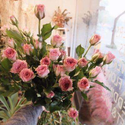 江南体育app在线下载