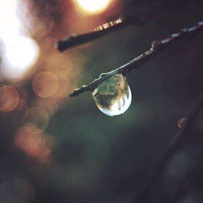 江南全站登录手机app下载