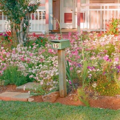 网易彩票最新版下载app